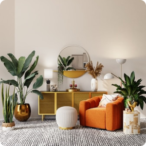 gallery-1